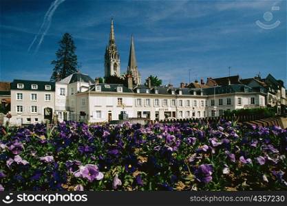 Low angle view of Chartres skyline, France
