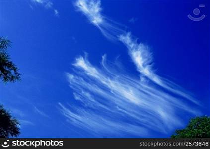 Low angle view of clouds in the sky