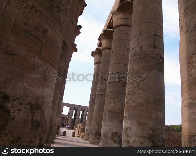 Low angle view of columns in a temple, Temples Of Karnak, Luxor, Egypt