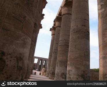 Low angle view of columns in a temple, Temples Of Karnak, Luxor, Egypt
