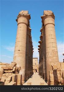Low angle view of columns of a temple, Temple Of Luxor, Luxor, Egypt