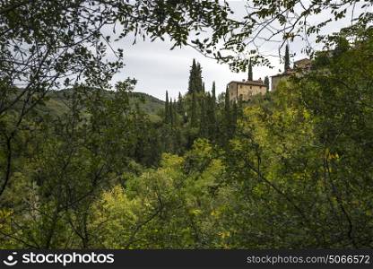 Low angle view of houses on hill amidst trees, Chianti, Tuscany, Italy