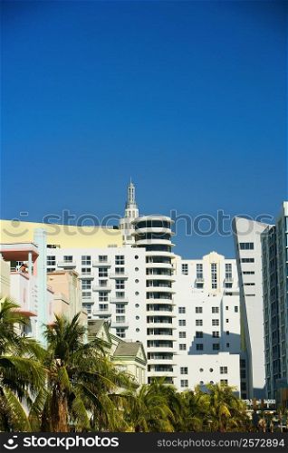 Low angle view of multi-storeyed buildings in a city, Miami, Florida, USA