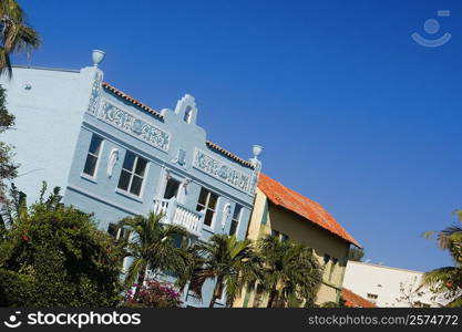 Low angle view of palm trees in front of a building, Miami, Florida, USA