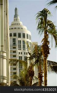 Low angle view of palm trees in front of a building, Miami, Florida, USA