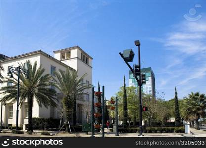 Low angle view of palm trees in front of a building, Orlando, Florida, USA