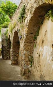 Low angle view of plants growing on a stone wall, Positano, Amalfi Coast, Salerno, Campania, Italy