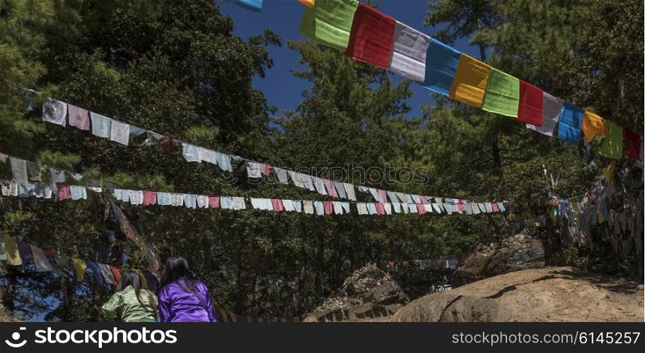 Low angle view of prayer flags at Taktsang Monastery, Paro, Paro District, Paro Valley, Bhutan