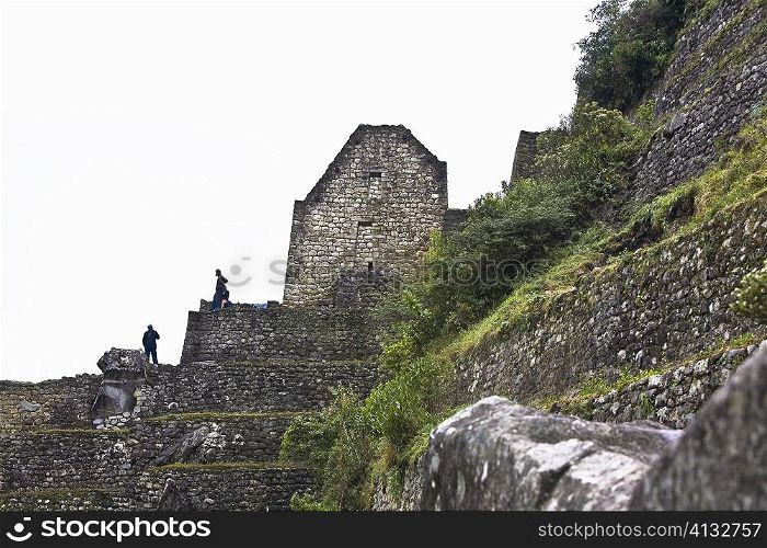Low angle view of ruins, Aguas Calientes, Mt Huayna Picchu, Machu Picchu, Cusco Region, Peru