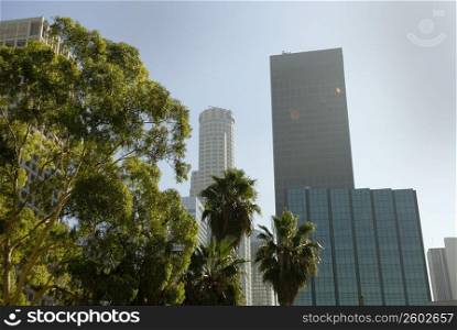 Low angle view of skyscrapers, City Of Los Angeles, California, USA