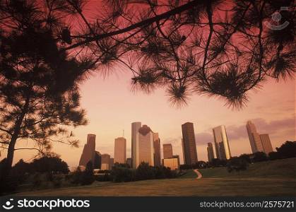 Low angle view of skyscrapers in a city, Texas, USA