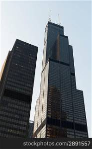 Low angle view of skyscrapers, Sears Tower, Chicago, Cook County, Illinois, USA