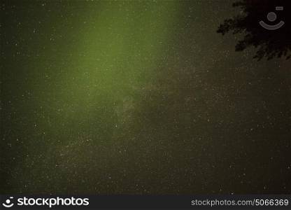 Low angle view of stars in sky over Lake of the Woods, Ontario, Canada