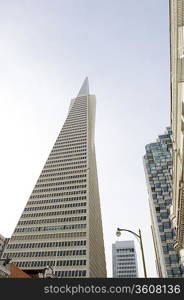 Low angle view of the Transamerica Pyramid San Francisco designed by William Pereira