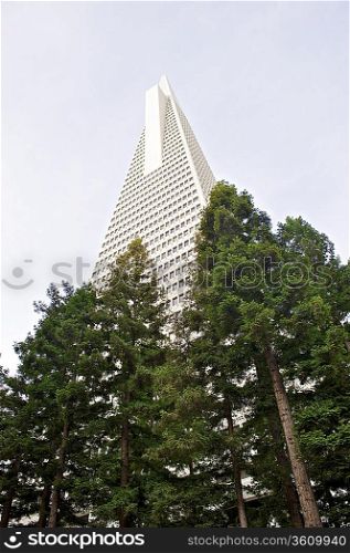 Low angle view of the Transamerica Pyramid San Francisco designed by William Pereira