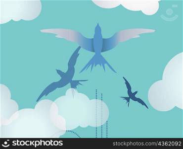 Low angle view of three birds flying in the sky