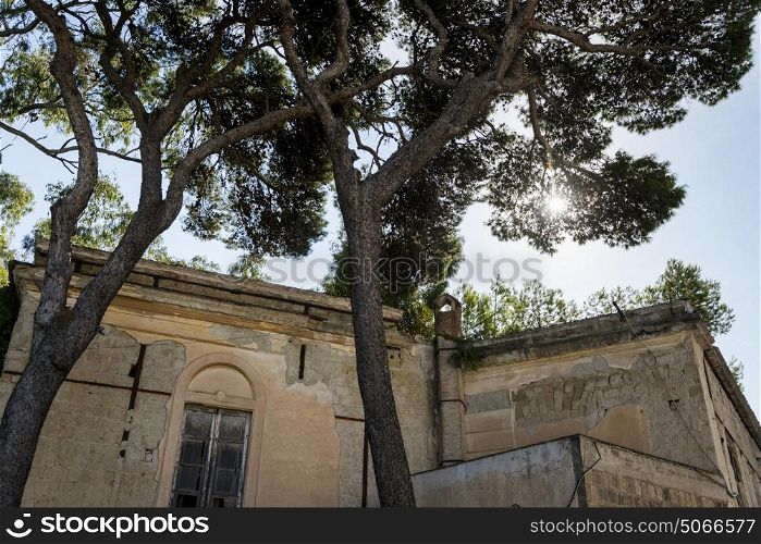 Low angle view of trees by building, Campania, Italy