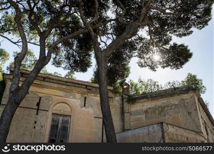 Low angle view of trees by building, Campania, Italy