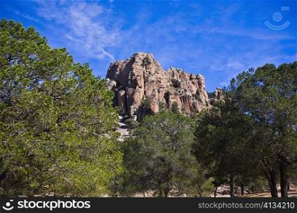 Low angle view of trees in front of rock formations, Sierra De Organos, Sombrerete, Zacatecas State, Mexico