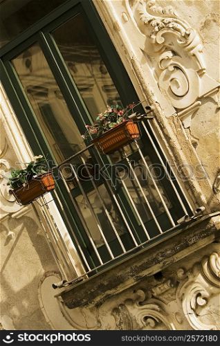 Low angle view of window boxes on a railing, Vietri Sul Mare, Costiera Amalfitana, Salerno, Campania, Italy