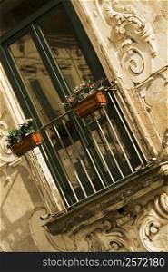 Low angle view of window boxes on a railing, Vietri Sul Mare, Costiera Amalfitana, Salerno, Campania, Italy