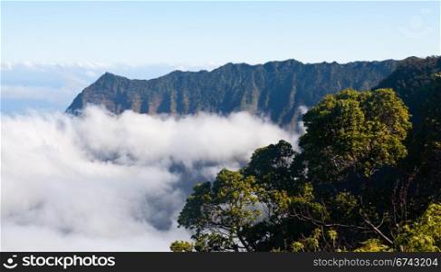 Low clouds start to form on Kalalau valley in Kauai Na Pali Coast