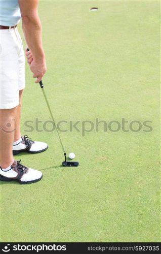 Low section of mid-adult man playing golf