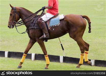 Low section view of a man playing polo
