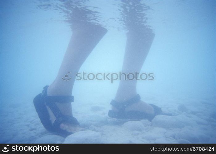 Low section view of a person standing in water