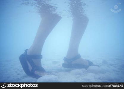 Low section view of a person standing in water