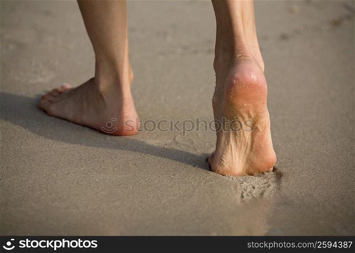 Low section view of a person walking on the beach