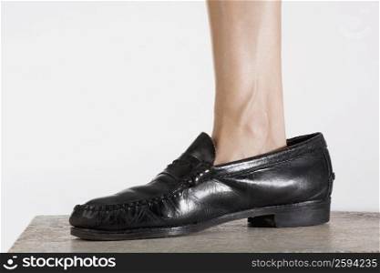 Low section view of a person wearing a shoe