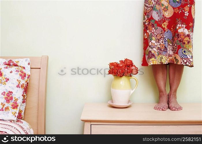 Low section view of a woman standing on a cabinet