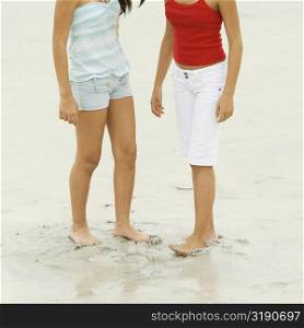 Low section view of two girls standing on the beach
