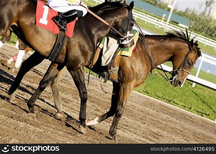 Low section view of two jockeys riding horses on a horseracing track