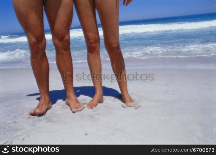 Low section view of two people standing on the beach