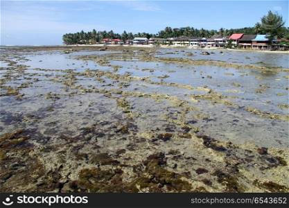 Low tide on the Pantai Sorake beach in Nias island, Indonesia