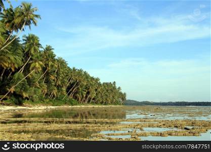 Low tide sea and palm trees on Pantai Sorak beach in Nias, Indonesia
