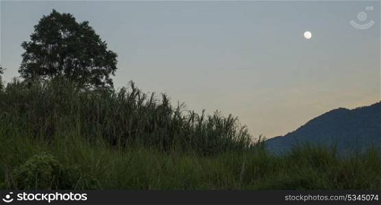 Low view of landscape with moon in the sky at dawn, Laos