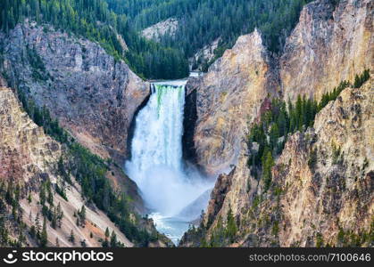 Lower Falls of Yellowstone Grand Canyon, Wyoming.