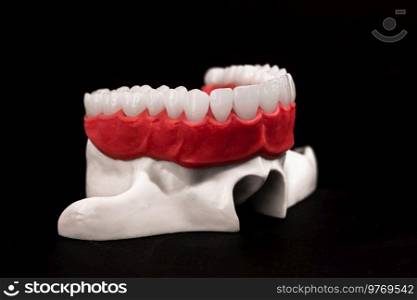 Lower human jaw with teeth anatomy model isolated on black background. Healthy teeth, dental care and orthodontic medical concept. Hi quality photo. Lower human jaw with teeth anatomy model isolated on black background. Healthy teeth, dental care and orthodontic medical concept.