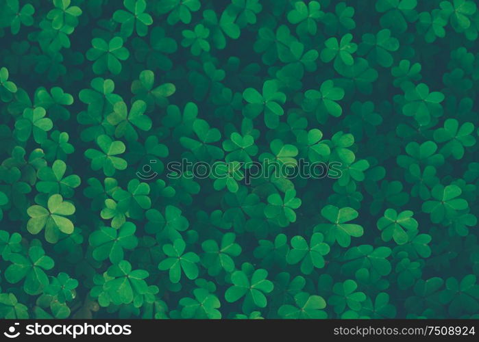 Lucky clover vintage background, traditional symbol of a Saint Patrick&rsquo;s day, springtime Irish holiday