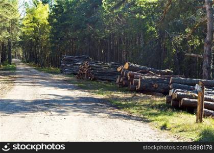 lumber, timber, wood, timber, logs, forest, trees, deforestation. felled trees sticks logs stacked in a pile for removal from the forest