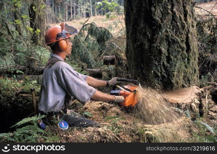 Lumberjack Cutting Down a Tree