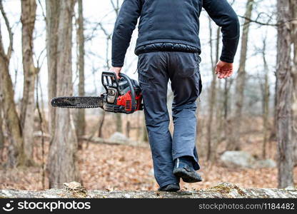 Lumberjack using a Gas-Powered Chain Saw cutting trees close up. Lumberjack using a Gas-Powered Chain Saw cutting trees