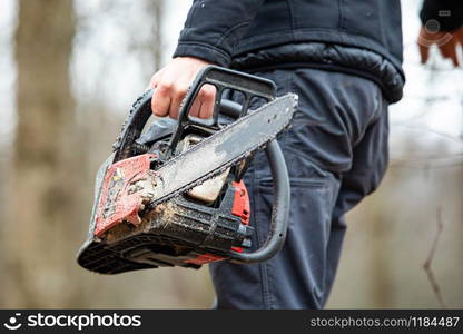 Lumberjack using a Gas-Powered Chain Saw cutting trees close up. Lumberjack using a Gas-Powered Chain Saw cutting trees