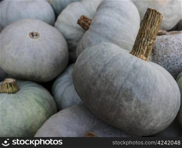 Lumina-Pumpkins. Pumpkin - a wonderful vegetable in autumn, which comes in many variations, here the variety Lumina