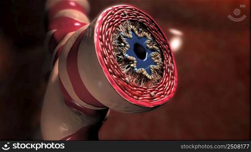 Lung Immunity and Inflammation 3D illustration. Lung Immunity and Inflammation