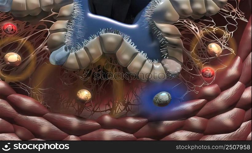 Lung Immunity and Inflammation3D illustration. Lung Immunity and Inflammation