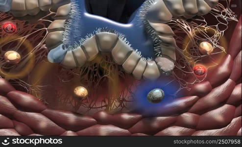 Lung Immunity and Inflammation3D illustration. Lung Immunity and Inflammation